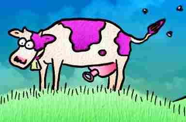 Kráva Milka